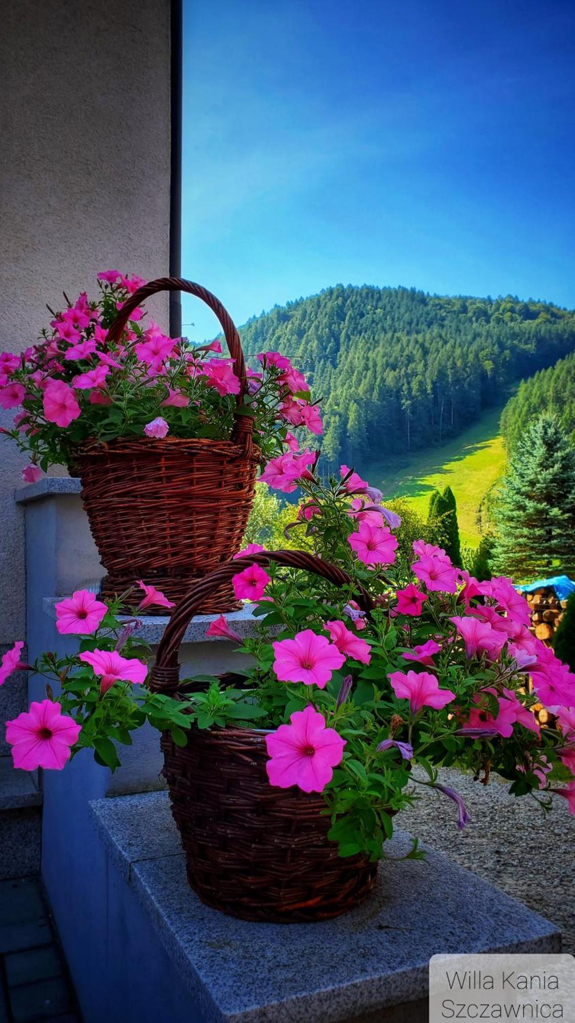Willa Kania Szczawnica Esterno foto